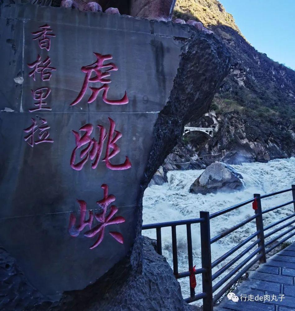 视频直播查看方式在这里!2024“一带一路·东盟大湾区杯”国际青少年足球赛事