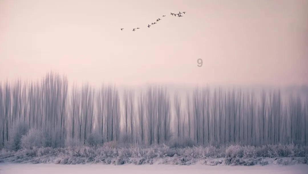 幻想纹章3.1