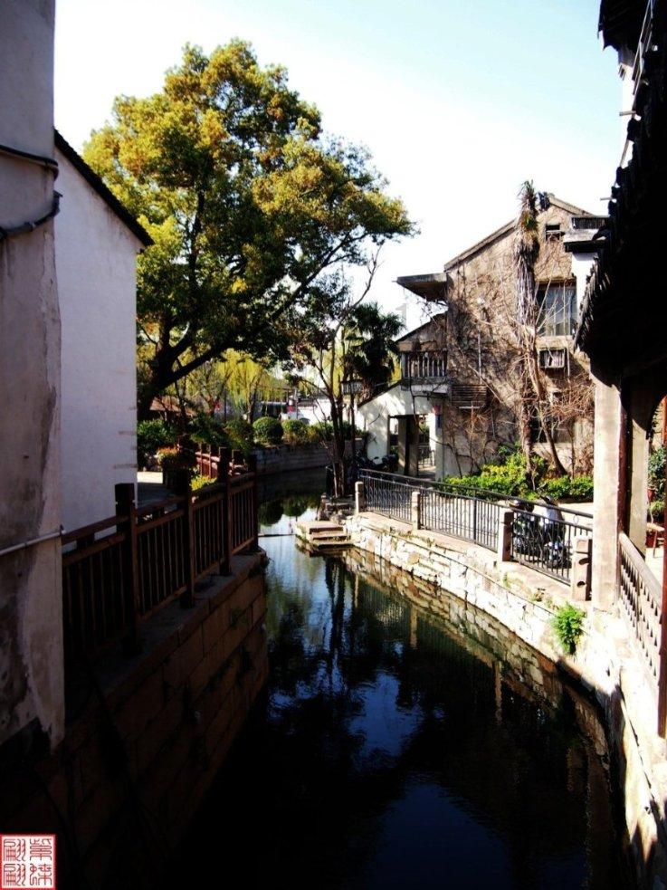 逃离森林湖畔